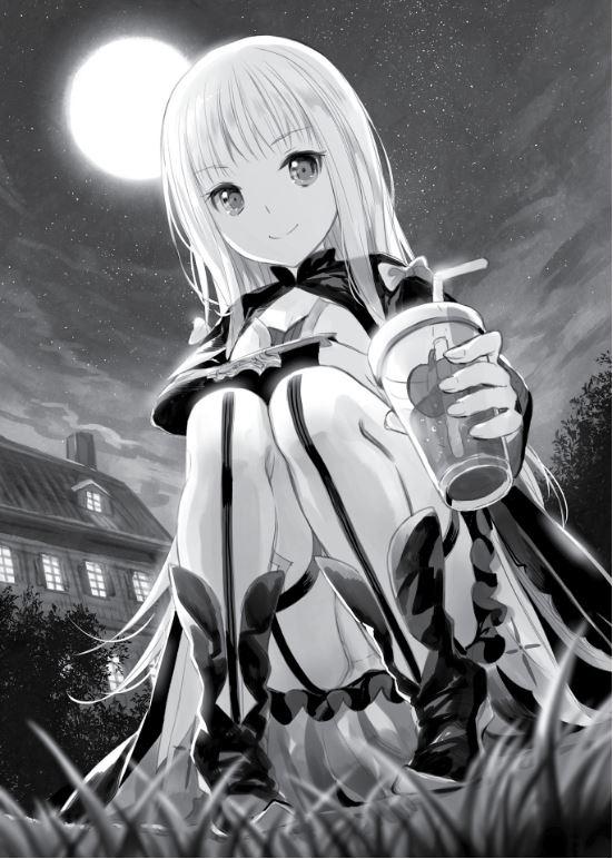 She Professed Herself Pupil of the Wise Man Light Novel Volume 4 — Interior