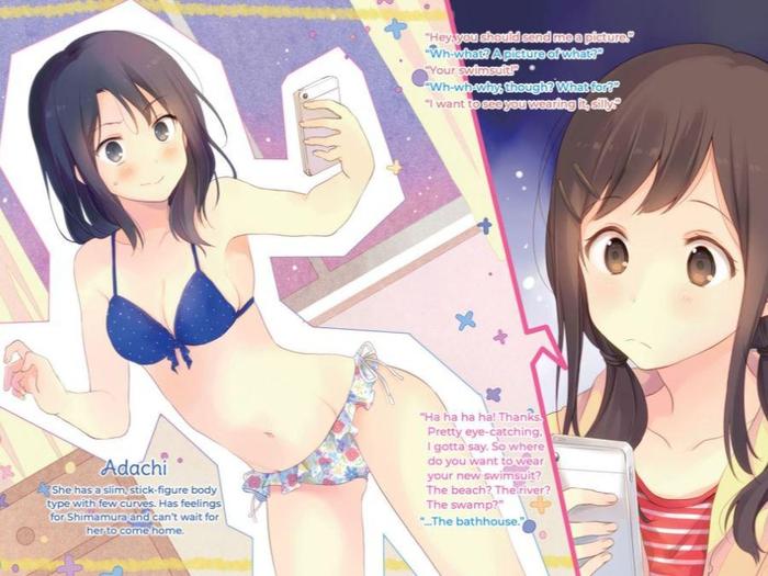 Adachi and Shimamura Light Novel Volume 6 — Interior