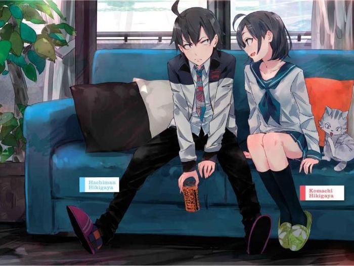 My Youth Romantic Comedy Is Wrong, As I Expected Light Novel Volume 10 — Back Cover