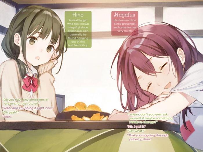 Adachi and Shimamura Light Novel Volume 10 — Interior