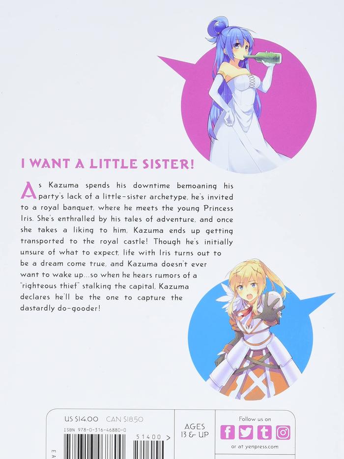 Konosuba God's Blessing on This Wonderful World Light Novel Volume 6 — Back Cover