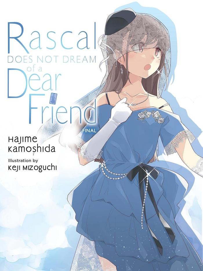 Rascal Does Not Dream of a Knapsack Kid Light Novel Volume 15