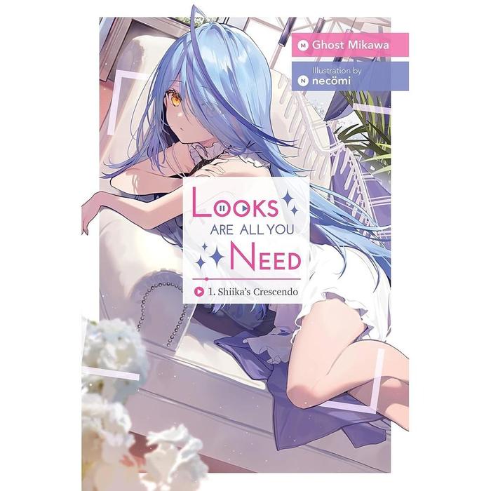 Looks Are All You Need