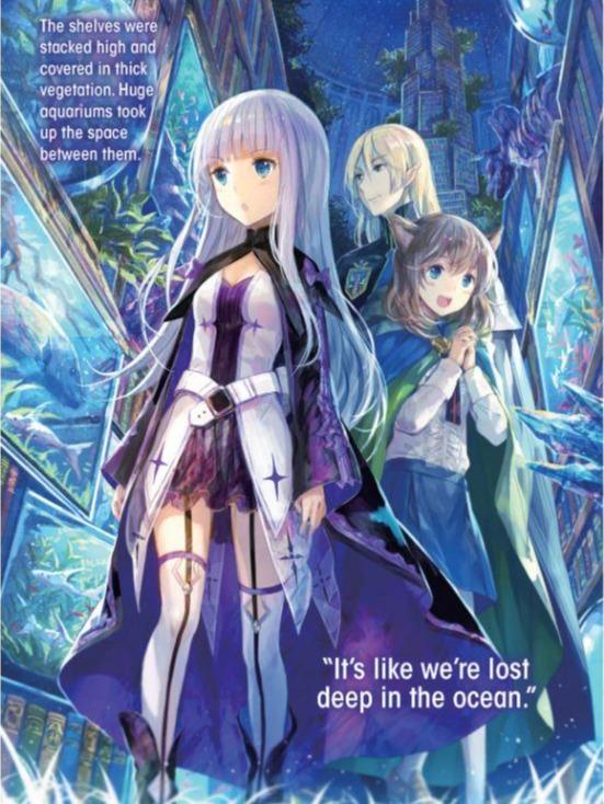 She Professed Herself Pupil of the Wise Man Light Novel Volume 3 — Interior