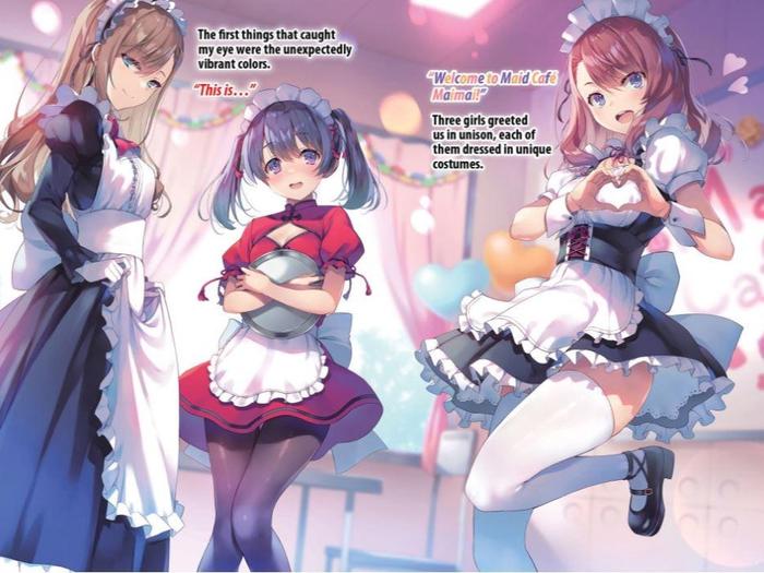 Classroom of the Elite Year 2 Light Novel Volume 5 — Back Cover