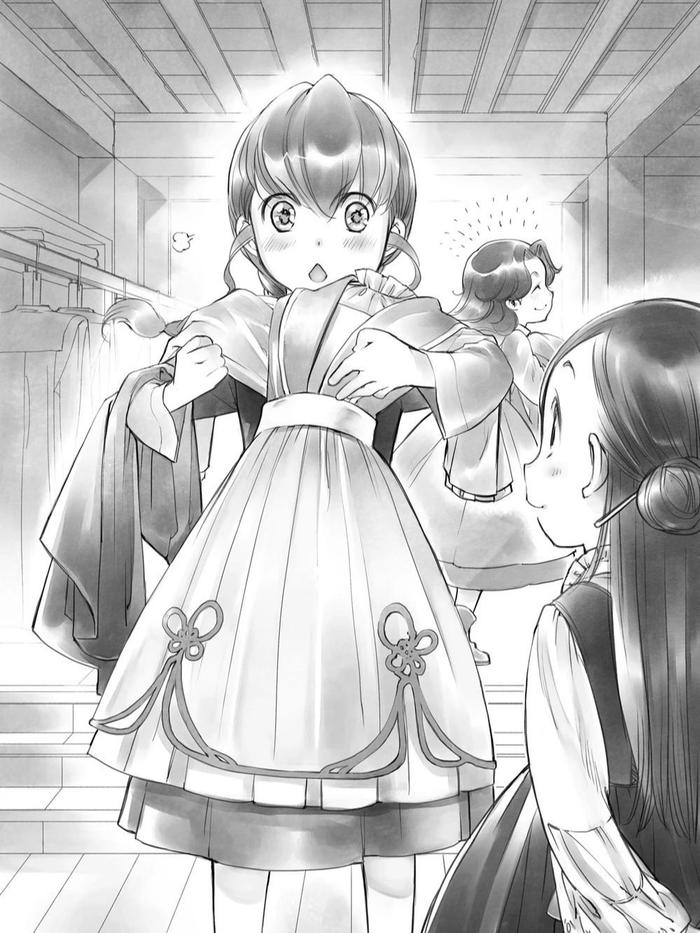 Ascendance of a Bookworm Light Novel Part 2 Volume 2 — Interior