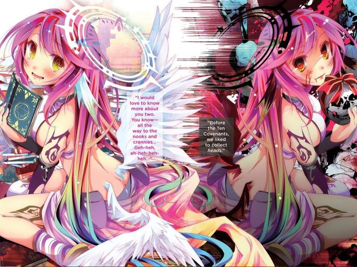 No Game No Life Light Novel Volume 2 — Interior