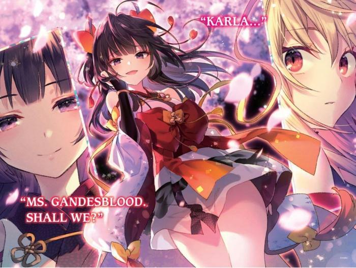 The Vexations of a Shut-In Vampire Princess Light Novel Volume 4 — Back Cover