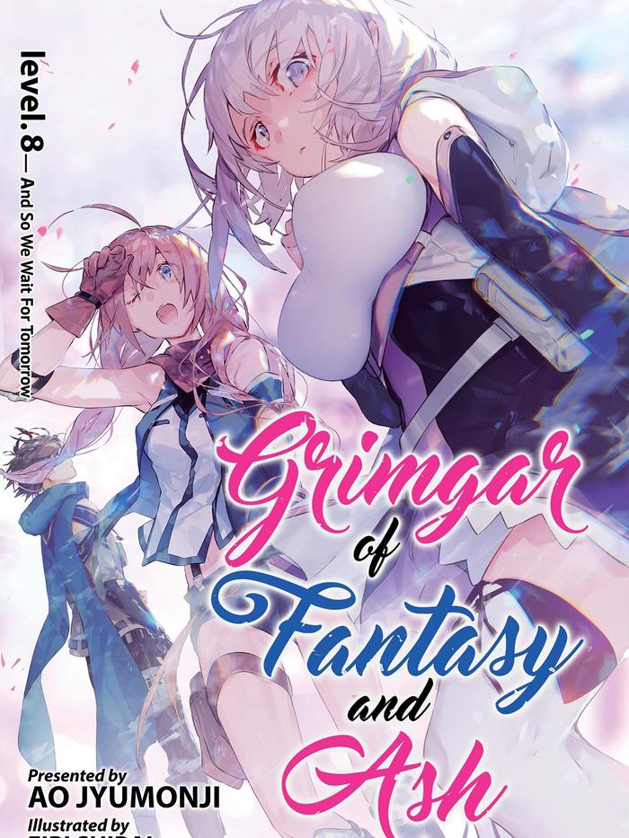Grimgar of Fantasy and Ash Light Novel Volume 8