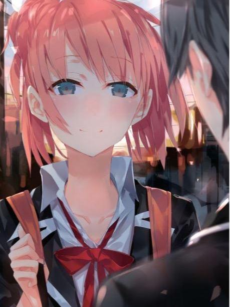 My Youth Romantic Comedy Is Wrong, As I Expected Light Novel Volume 8 — Interior