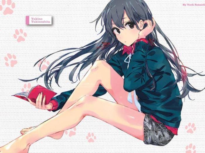 My Youth Romantic Comedy Is Wrong, As I Expected Light Novel Vol 10.5 — Interior