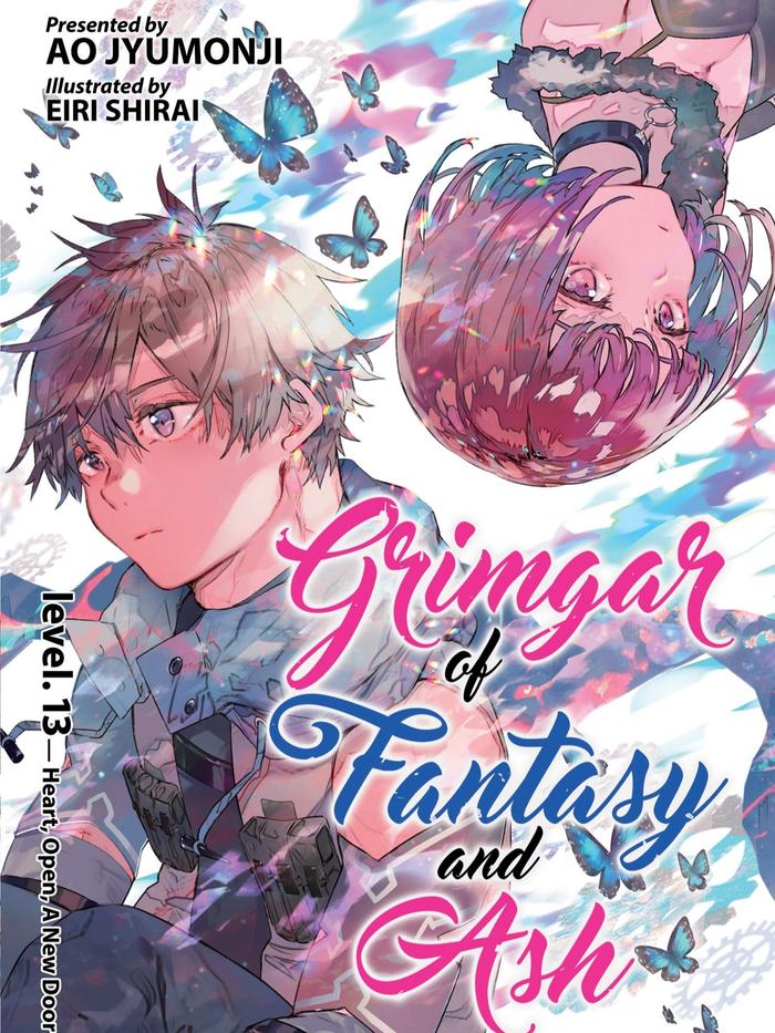 Grimgar of Fantasy and Ash Light Novel Volume 13