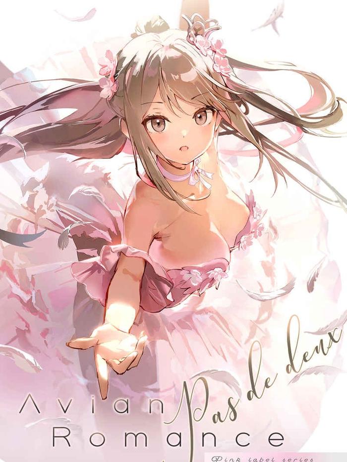 Avian Romance Pink Label 9 Doujinshi Illustration Book - Anmi