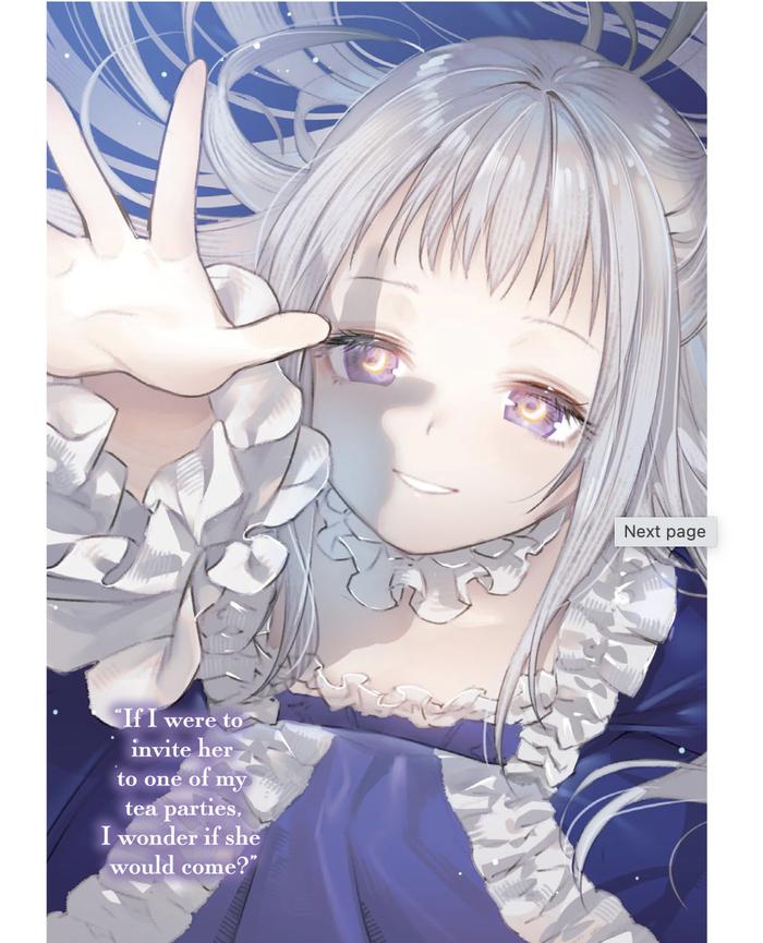 The Devil Princess Light Novel Volume 2 — Back Cover