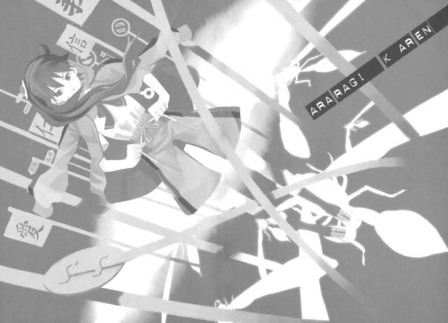 Nisemonogatari Fake Tale Part 1 Light Novel — Interior