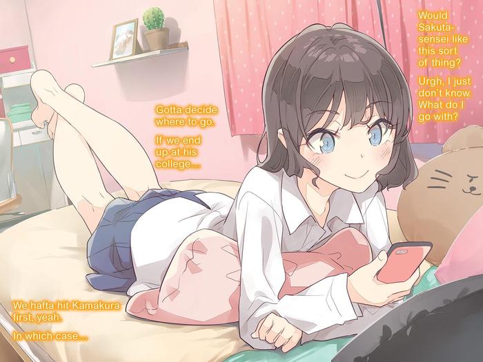 Rascal Does Not Dream of His Student Light Novel Volume 12 — Image 4
