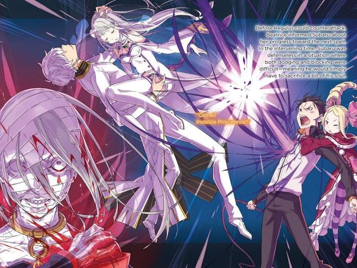 Re:ZERO Starting Life in Another World Light Novel Volume 17 — Back Cover