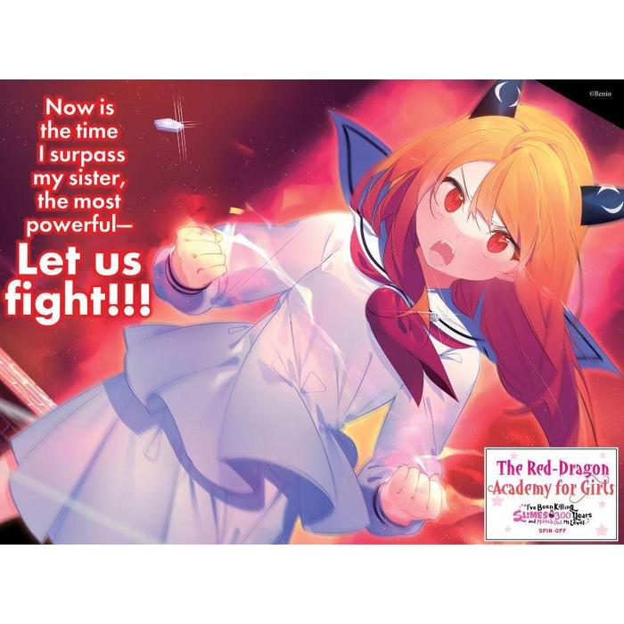 I've Been Killing Slimes for 300 Years Light Novel Volume 13 — Image 4