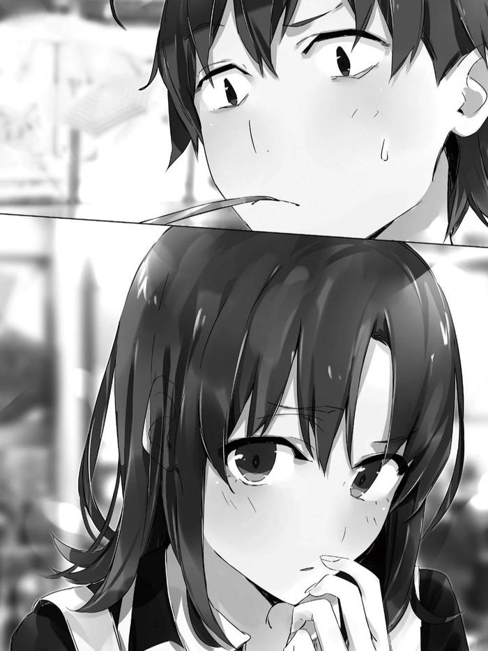 My Youth Romantic Comedy Is Wrong, As I Expected Light Novel Volume 11 — Image 4