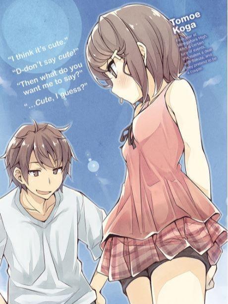 Rascal Does Not Dream of Petite Devil Kohai Light Novel Volume 2 — Interior