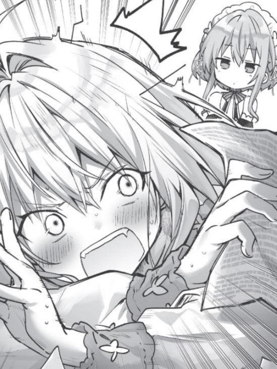 The Vexations of a Shut-In Vampire Princess Light Novel Volume 2 — Image 5