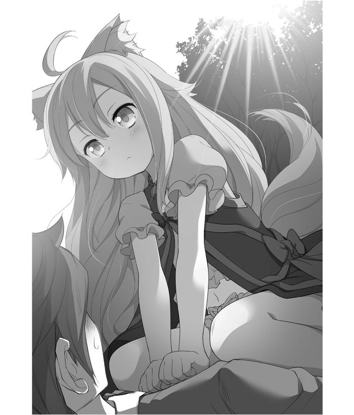 Drugstore in Another World Light Novel Volume 1 — Image 4