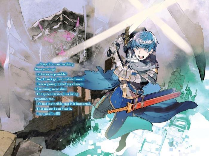 So I'm a Spider, So What? Light Novel Volume 12 — Image 4
