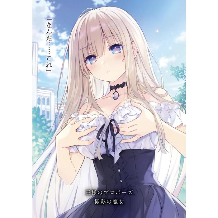 King's Proposal Light Novel Volume 1 — Back Cover
