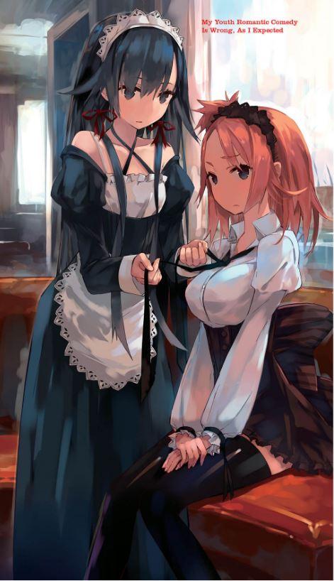 My Youth Romantic Comedy Is Wrong, As I Expected Light Novel Volume 2 — Interior