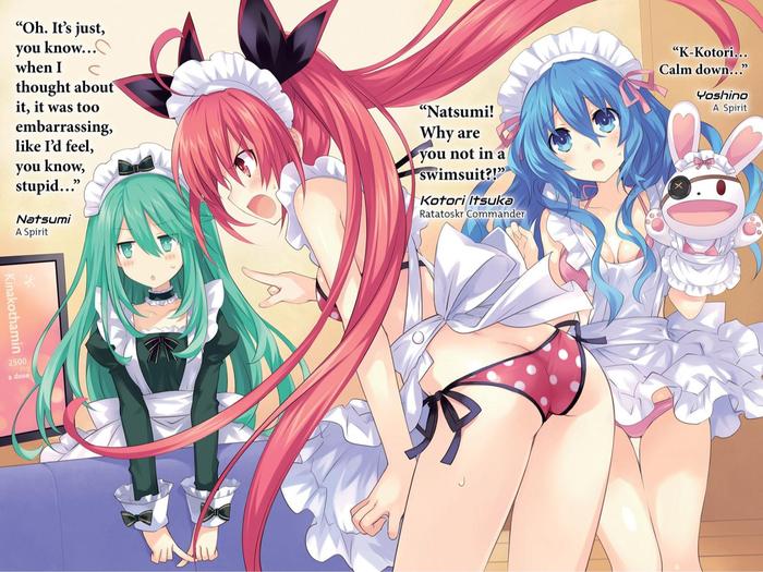 Date A Live Light Novel Volume 11 — Interior