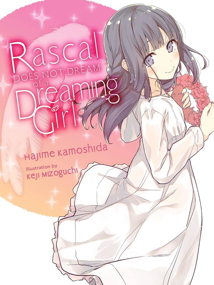 Rascal Does Not Dream of a Dreaming Girl Light Novel Volume 6