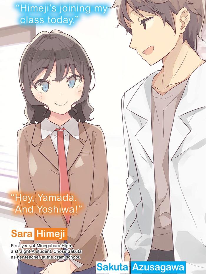 Rascal Does Not Dream of His Student Light Novel Volume 12 — Back Cover