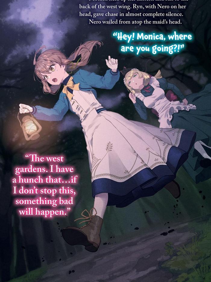 Secrets of the Silent Witch Light Novel Volume 4.5 -after- — Image 4