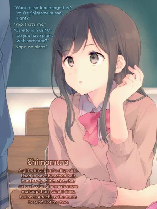 Adachi and Shimamura Light Novel Volume 4 — Interior