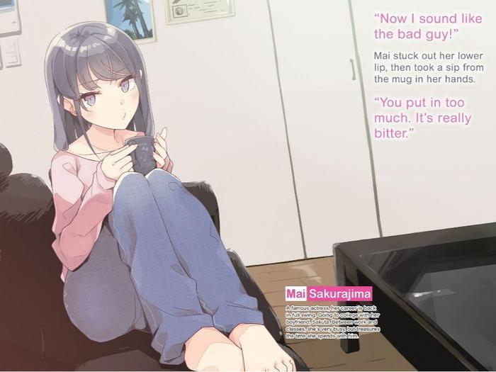 Rascal Does Not Dream of a Nightingale Light Novel Volume 11 — Interior