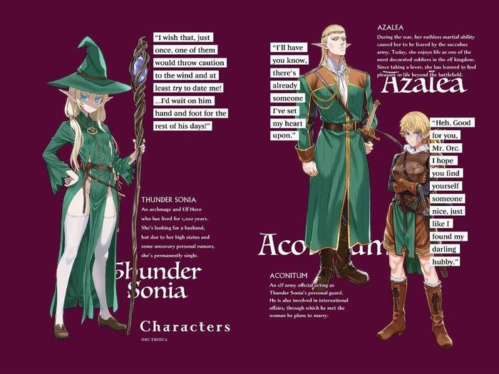 Orc Eroica Light Novel Volume 2 — Back Cover