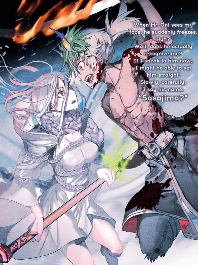 So I'm a Spider, So What? Light Novel Volume 8 — Image 4