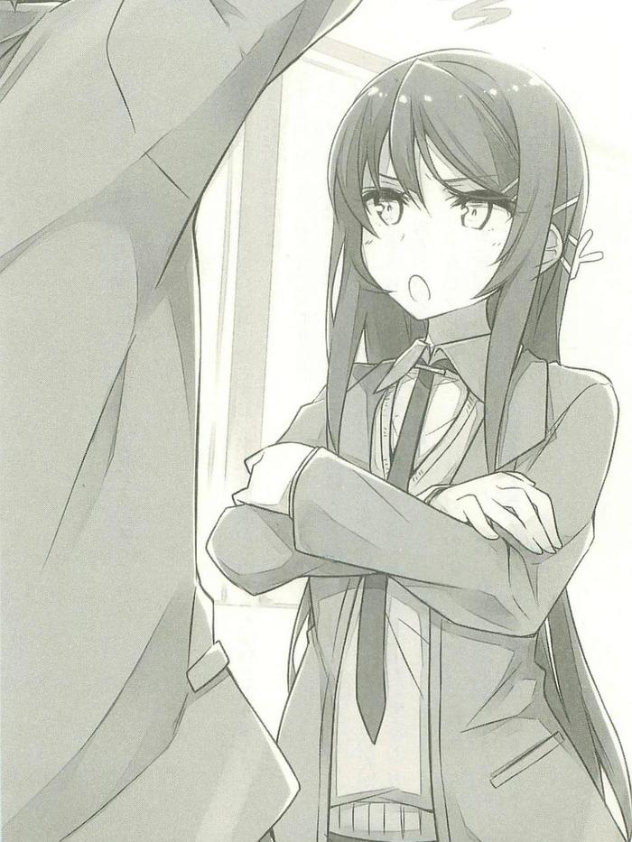 Rascal Does Not Dream of a Sister Home Alone Light Novel Volume 5 — Image 4