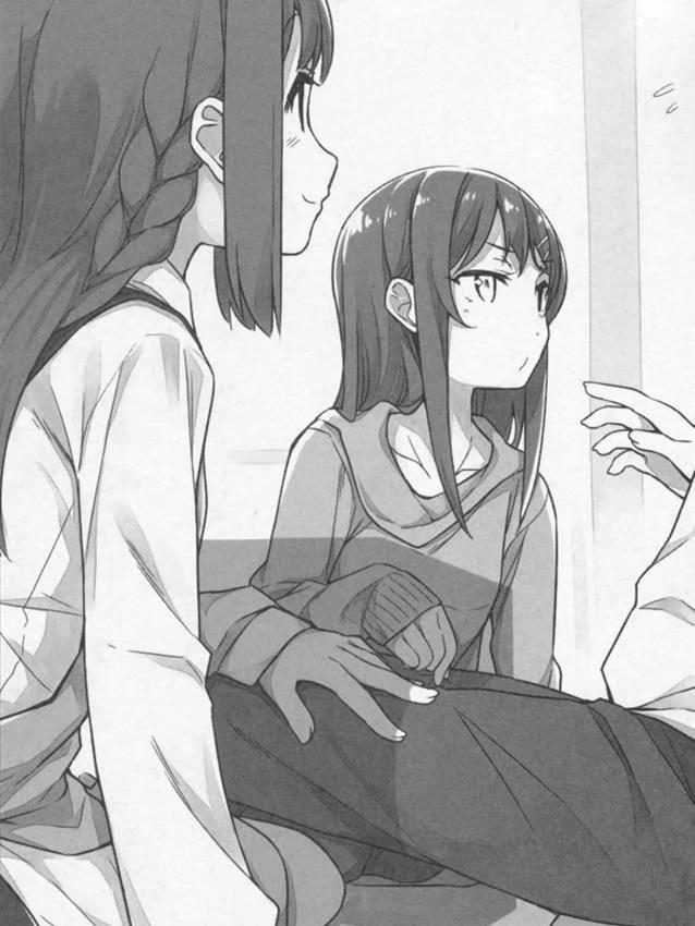 Rascal Does Not Dream of a Dreaming Girl Light Novel Volume 6 — Image 4