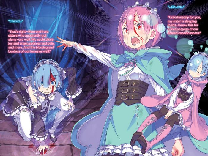 Re:ZERO Starting Life in Another World Light Novel Volume 25 — Image 4
