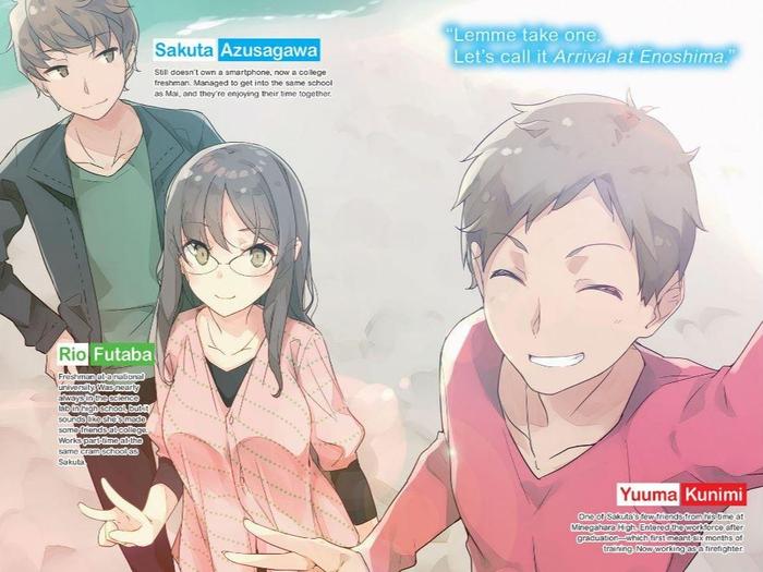 Rascal Does Not Dream of a Nightingale Light Novel Volume 11 — Back Cover