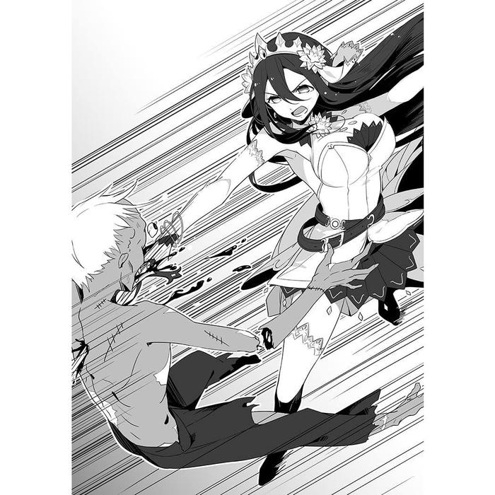 Free Life Fantasy Online Immortal Princess Light Novel Volume 1 — Interior