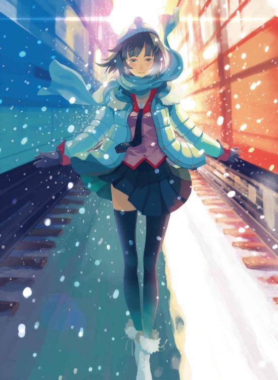 Koimonogatari Love Tale Light Novel — Back Cover