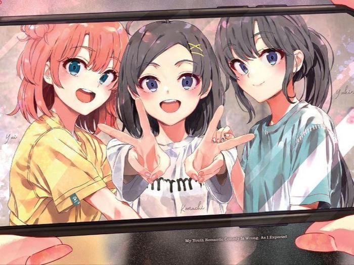 My Youth Romantic Comedy Is Wrong, As I Expected Light Novel Vol. 14.5 — Interior