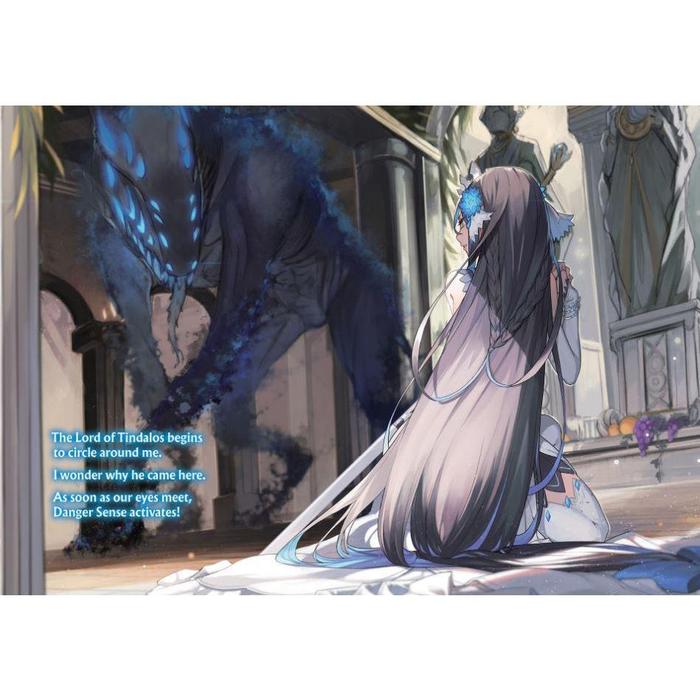 Free Life Fantasy Online Immortal Princess Light Novel Volume 3 — Image 4