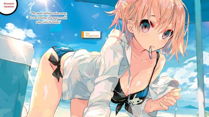 My Youth Romantic Comedy Is Wrong, As I Expected Light Novel Volume 5 — Back Cover