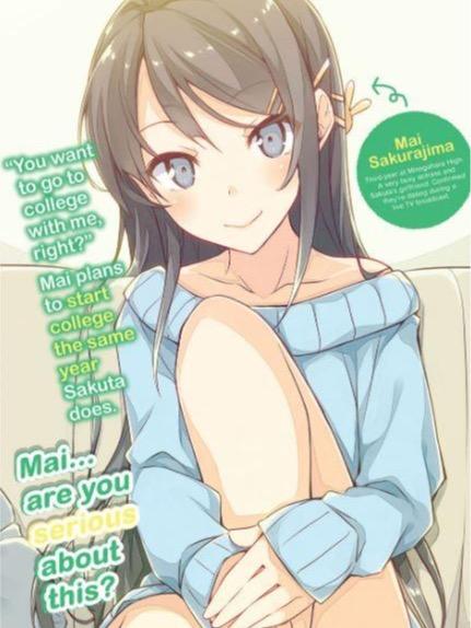 Rascal Does Not Dream of a Sister Home Alone Light Novel Volume 5 — Back Cover