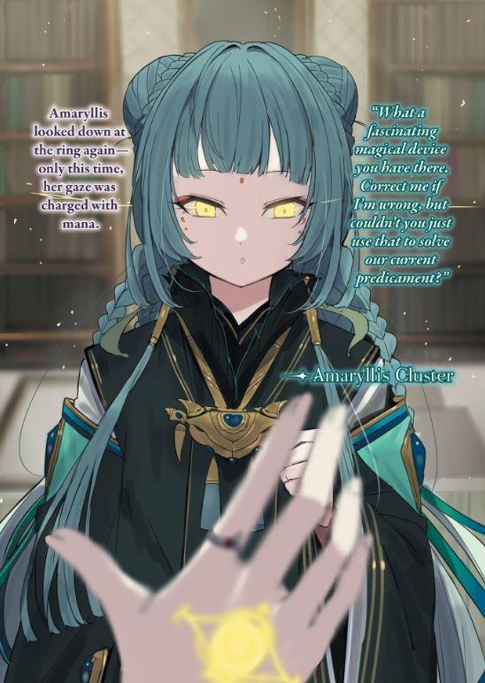 My Status as an Assassin Obviously Exceeds the Hero Light Novel Vol. 4 — Image 4