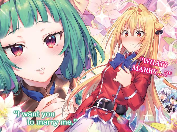 The Vexations of a Shut-In Vampire Princess Light Novel Volume 7 — Back Cover