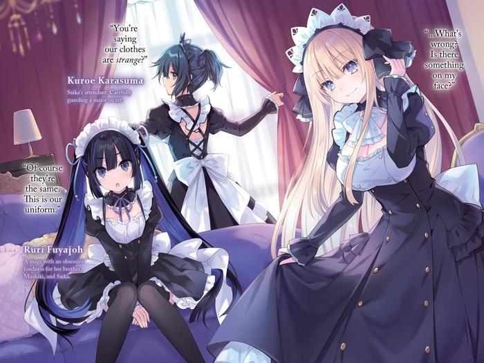 King's Proposal Light Novel Volume 4 — Image 4